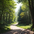 Mysterious pathway in the deciduous park area in summer. made with Generative AI