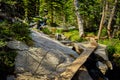 Narrow hiking path of logs through forest