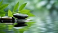 Natural Basalt Stones Submerged in Tranquil Water with Bamboo Leaves Background - Generative AI Royalty Free Stock Photo