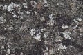 Image of natural stone texture background. Rock floor Royalty Free Stock Photo