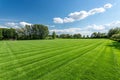 Natural Green Grass Field Royalty Free Stock Photo