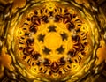 Deep Into the Vortex Bee Kaleidoscope