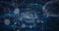 Image of network of connections and data processing over digital brain Royalty Free Stock Photo