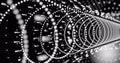 Image of network of glowing connections over black background