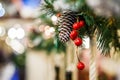 Image of New Year branch of fir-tree with cones, red berries Royalty Free Stock Photo