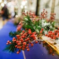 Image of New Year branch of fir tree with red berries Royalty Free Stock Photo