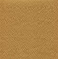 An image of a nice leather background. Cowhide texture Royalty Free Stock Photo