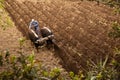 Image o traditional plough in Peruvian Andes.