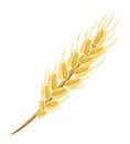 Oat or wheat spikelet, wholesome food, oatmeal, products when breastfeeding. Flat vector image