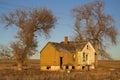 Image of a old abandoned house with trees Royalty Free Stock Photo