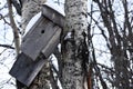 Falling Down Old Birdhouse