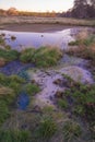 Old Crater in Manziana - carbon dioxide coming out of the earth through water and forming bubbles