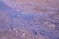 Old Crater in Manziana - carbon dioxide coming out of the earth through water and forming bubbles