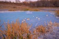 Old Crater in Manziana - carbon dioxide coming out of the earth through water and forming small geyser