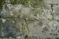 Image of Old dirty gritty mossed concrete wall. Texture for background usage Royalty Free Stock Photo