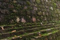 Image of old mossy wall in day time for background usage. Royalty Free Stock Photo