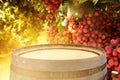 Image of old oak wine barrel in front of wine yard landscape. Useful for product display montage