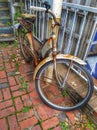 Old Rusty Bicycle Sitting on Brick Walkway