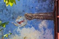 Image on an old wall - hand pours tea from a Chinese teapot