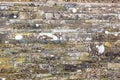 old weathered stone wall Royalty Free Stock Photo