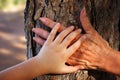 image of old woman and a kid holding hands together through a walk in the forest. Royalty Free Stock Photo