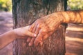 image of old woman and a kid holding hands together through a walk in the forest. Royalty Free Stock Photo