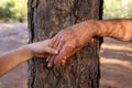 image of old woman and a kid holding hands together through a walk in the forest. Royalty Free Stock Photo