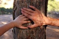 image of old woman and a kid holding hands together through a walk in the forest. Royalty Free Stock Photo