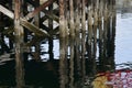 Old Wooden Dock Pillars and Water Reflections Royalty Free Stock Photo