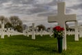 Image of one cross with a vase with red roses in the American Cemetery Margraten Royalty Free Stock Photo