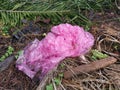 one used pink plastic garbage bag thrown at the isolated rural ground site. Royalty Free Stock Photo