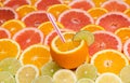 Oranges ,grapefruit, and other fruits