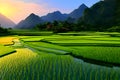 image of the painterly paddy field landscape.