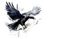 Image of painting crow flying on white background. Birds. Wildlife Animals. Illustration, Generative AI