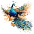 Image of painting peacock on white background. Bird. Wildlife Animals. Illustration, Generative AI Royalty Free Stock Photo