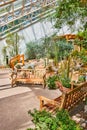 Pair of benches on path surrounded by cactus plants in greenhouse