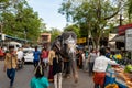 A majestic Tamil temple elephant walks down a busy street in India. Stock Photo