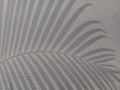 An image of palm leaf shadow on the wall Royalty Free Stock Photo