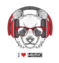 The image of the panda in the glasses, headphones and in hip-hop hat. Vector illustration.