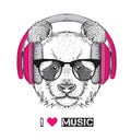 The image of the panda in the glasses, headphones and in hip-hop hat. Vector illustration.