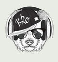 The image of the panda in the glasses, headphones and in hip-hop hat. Vector illustration.