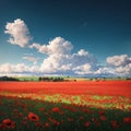 Panoramic view over beautiful green and yellow farm landscape and meadow field with red poppy flowers, Germany, sunny Royalty Free Stock Photo