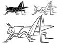 Image of paper origami of grasshopper contour drawing by line. Royalty Free Stock Photo