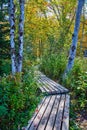 Park narrow boardwalk path through woods with tree trunks