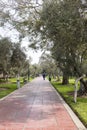 Image of `Parque el Olivar` Olive Park in Lima Peru