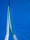 Image of a part of Erasmus bridge Royalty Free Stock Photo