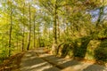 Image of a pathway through the forest in a beautiful autumn day Royalty Free Stock Photo