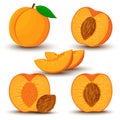 An image of a peach from different directions. Vector illustration in a flat style. Whole, half and sliced peach with bone Royalty Free Stock Photo