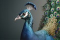 Image of a peacock head. Birds. Wildlife Animals. Illustration, generative AI Royalty Free Stock Photo