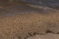 This is the image of the pebbly beach at Cape May New Jersey. Smooth stones are among the sand as the ocean water washes over.